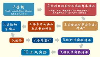 優(yōu)寧維公司重磅推出抗體相關(guān)實(shí)驗(yàn)技術(shù)服務(wù)體系，助力科研精準(zhǔn)高效